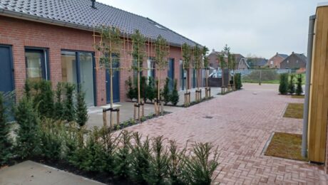 20230408_110623 groot